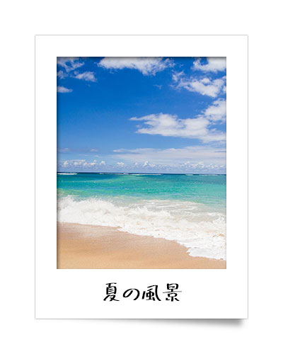 夏の写真