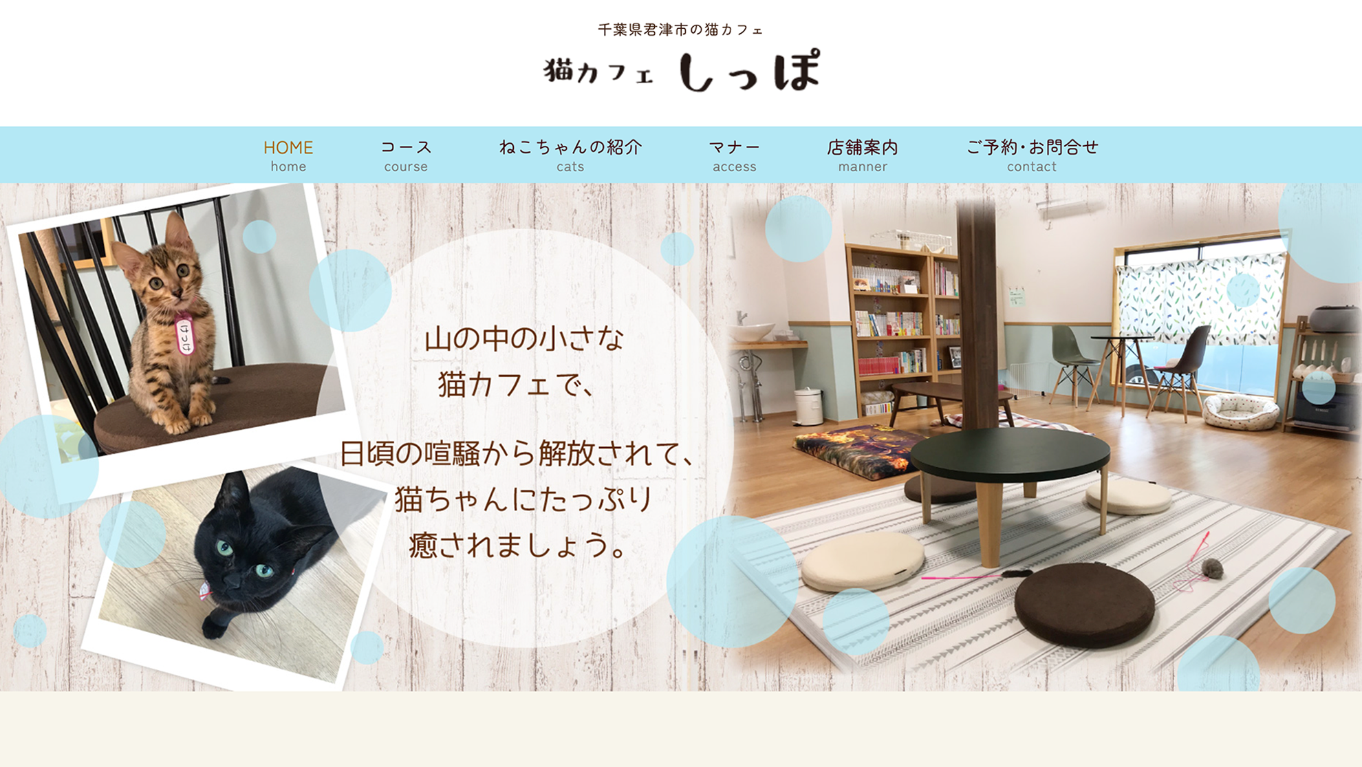 サイト画像